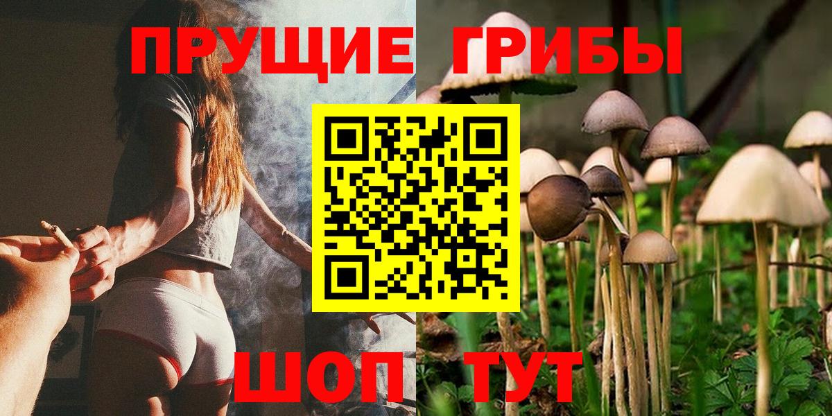 Псилоцибиновые грибы прущие грибы  цены наркотик  Мичуринск  Вход с VPN  Псилоцибиновые грибы ЛСД 