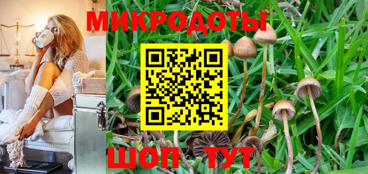 Псилоцибиновые грибы мицелий Мичуринск